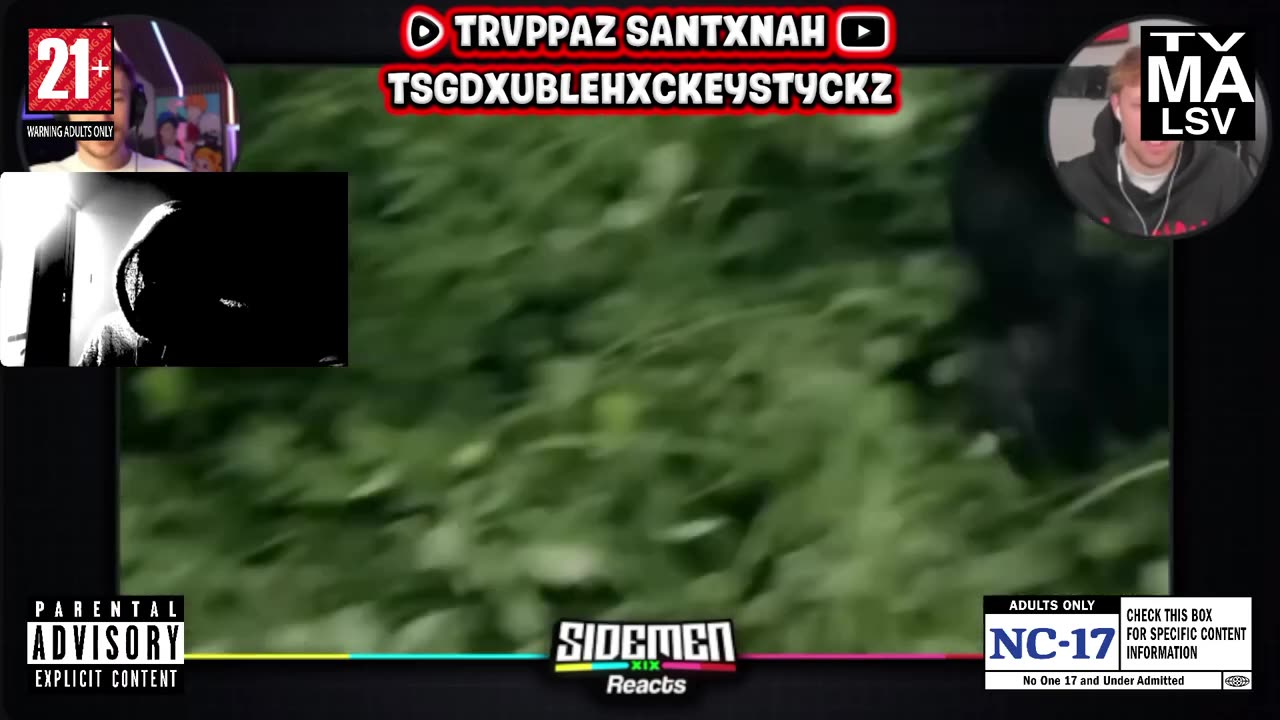 Worlds MOST DANGEROUS Animals...WTF