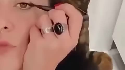 The cat is getting in the way of tidying up