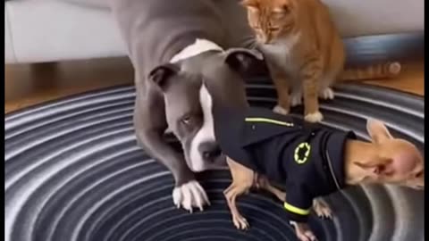 The big one threw the little one