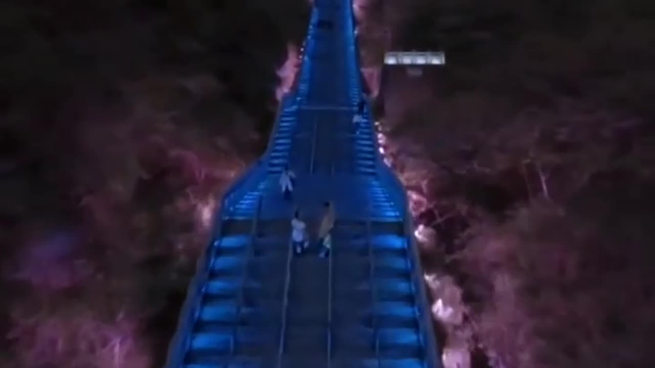 Steps of Color: A Stairway to Beauty