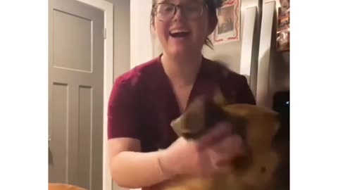 Dogs' favorite move