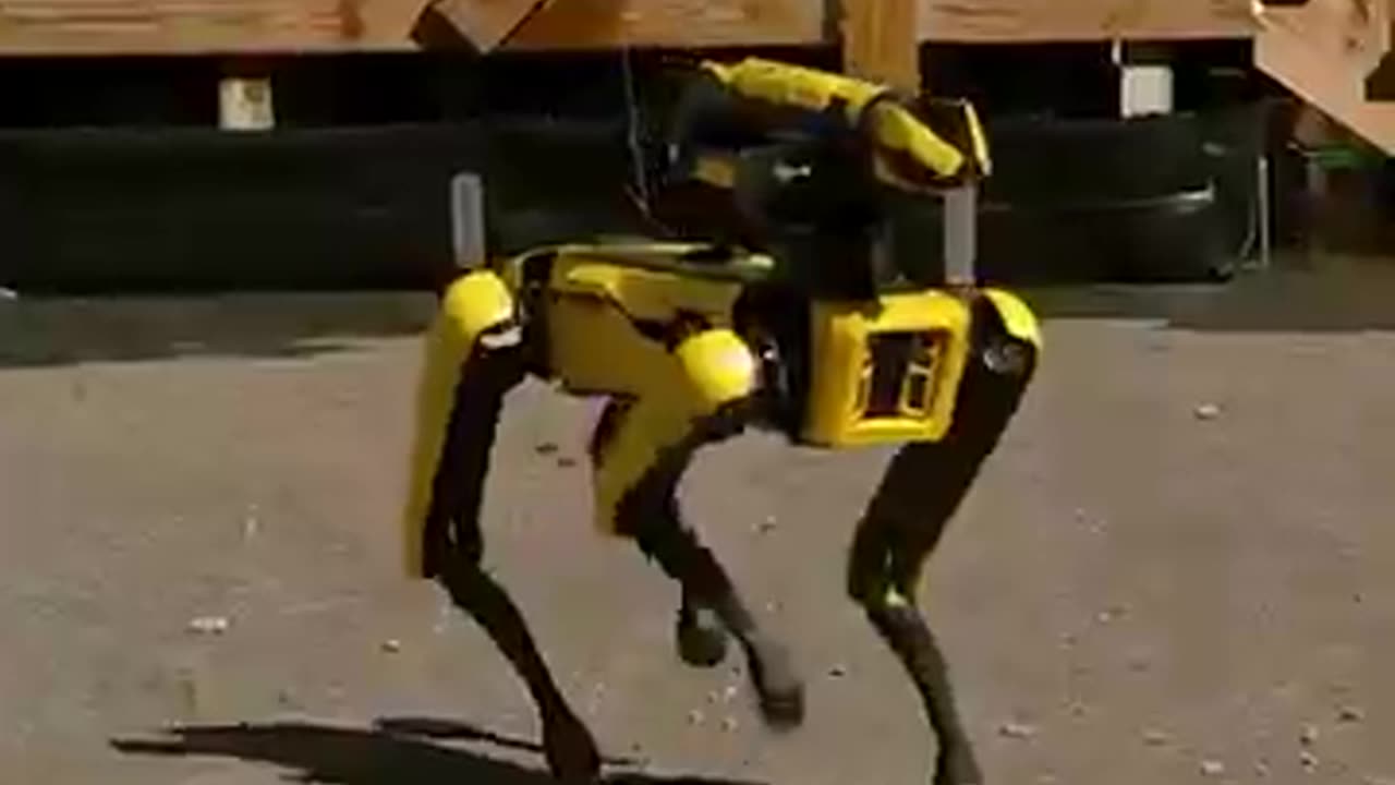 Shocking: This Robot Dog Can Do A New Trick
