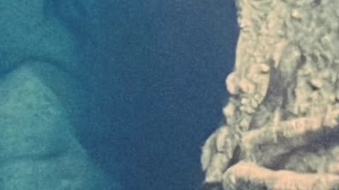 conoces la tragedia de #darthplagueis