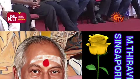 MSV LEGEND