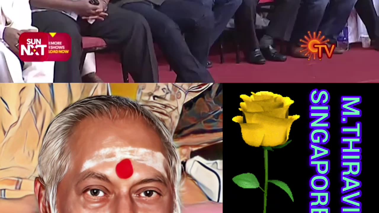 MSV LEGEND