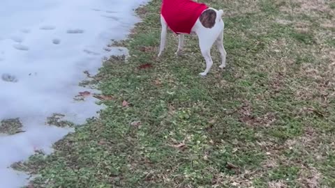 Snow Soccer Princess