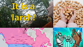 Reframing you and the world. Animal wisdom. How North? Talmud prosecutor. Tether used by over 6%