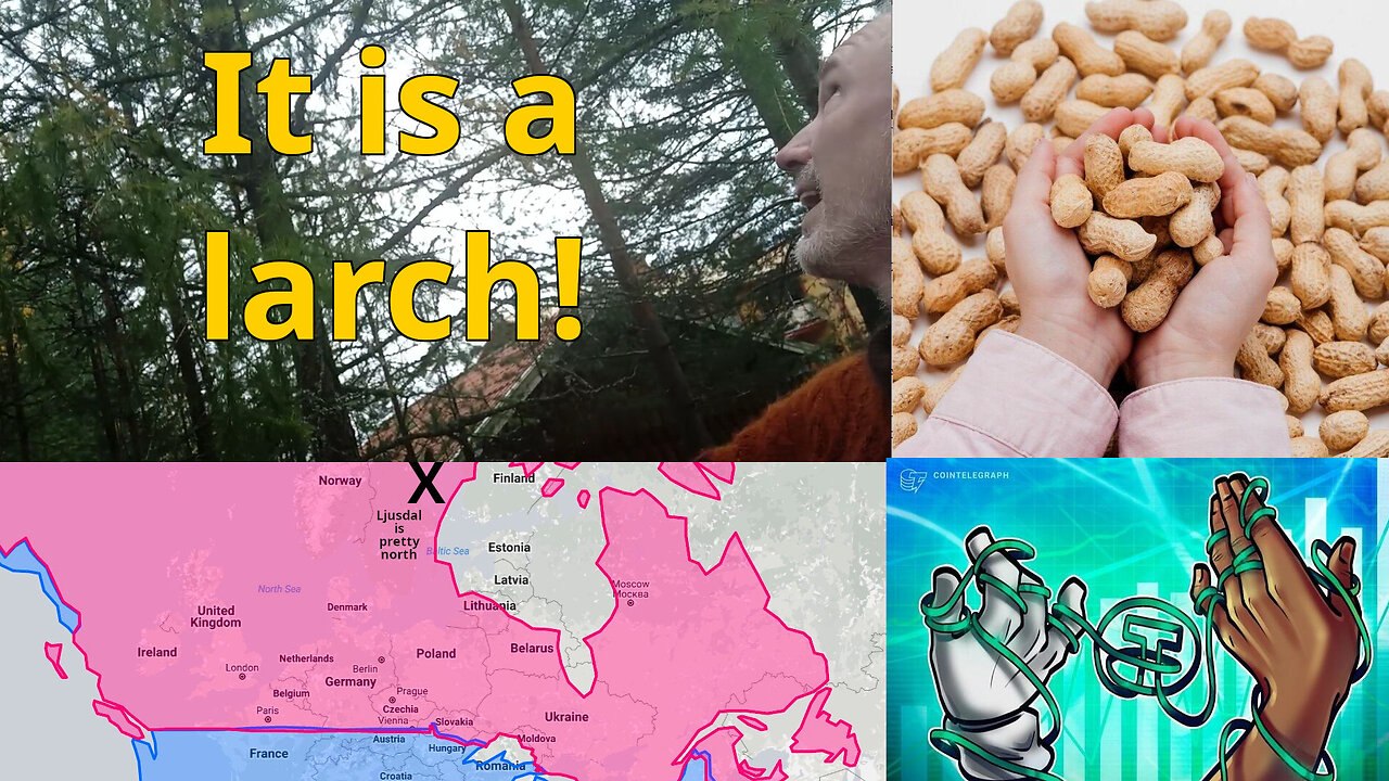 Reframing you and the world. Animal wisdom. How North? Talmud prosecutor. Tether used by over 6%