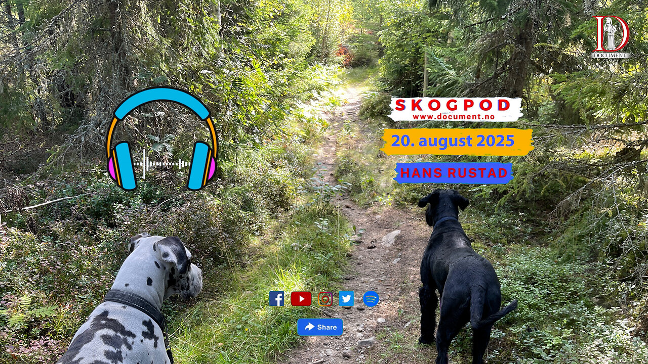 Skogpod 20. august 2025