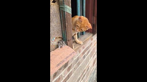 Шутки #приколи