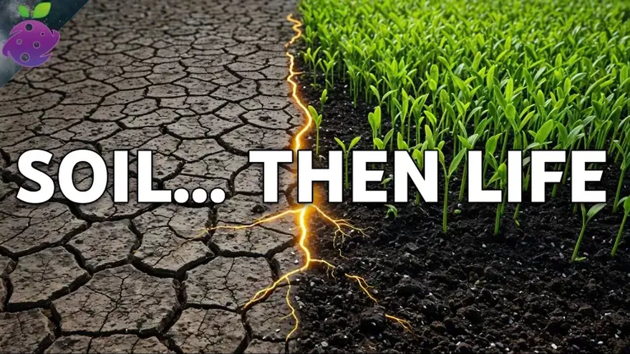 Revive Dead Soil With These 10 Plants - No Chemicals Needed