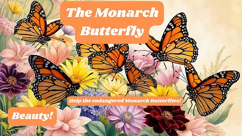 The Monarch Butterfly and What We Can Do to Help