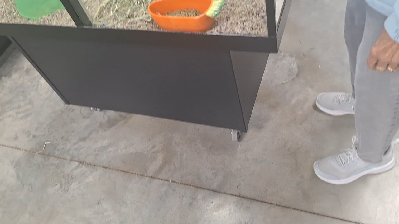 Quick stop at Petland!