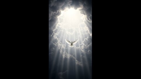 The Book Of Matthew 3-16-Reel