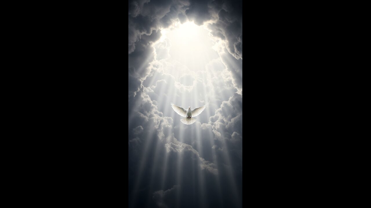 The Book Of Matthew 3-16-Reel