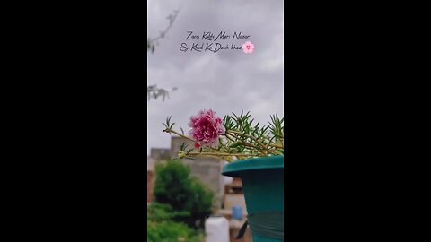 Tere Hawaale Lofi ❤️ #terehawaale #viral #songs #lofi #trending #Shorts #fluxifylofi