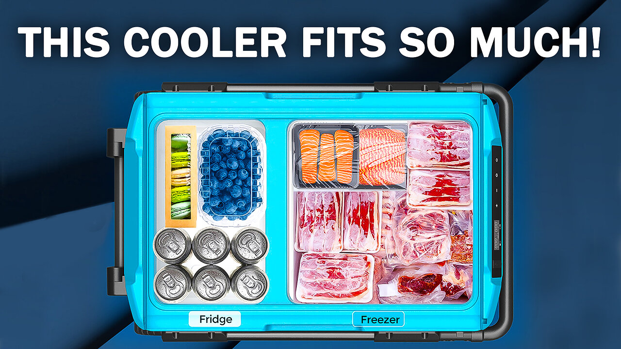 Renogy 53 Quart 50L Portable Refrigerator for Camping Review - Fully Explained