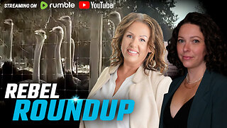 Rebels on the ground for ostrich cull, New hate crime bill, Ford on homeless crisis | Rebel Roundup