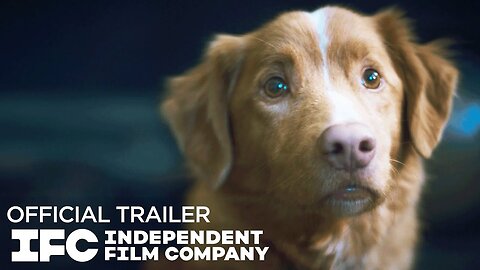 Good Boy - Official Trailer (2025) Shane Jensen, Arielle Friedman, Larry Fessenden