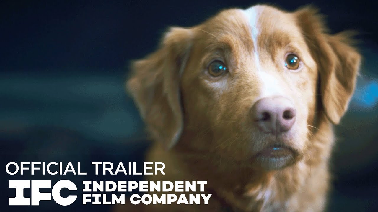 Good Boy - Official Trailer (2025) Shane Jensen, Arielle Friedman, Larry Fessenden