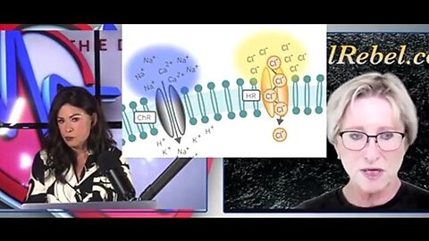 DR. LEE MERRITT - PARASITE CONNECTION WITH CANCER ☠️