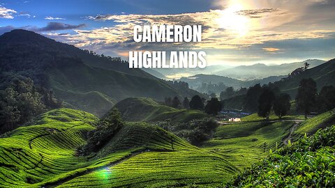 What Makes Cameron Highlands So Special?