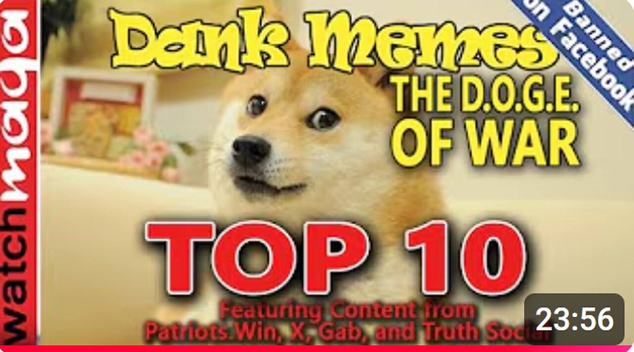 The DOGE of War: TOP 10 MEMES (MIRROR WatchMaga)