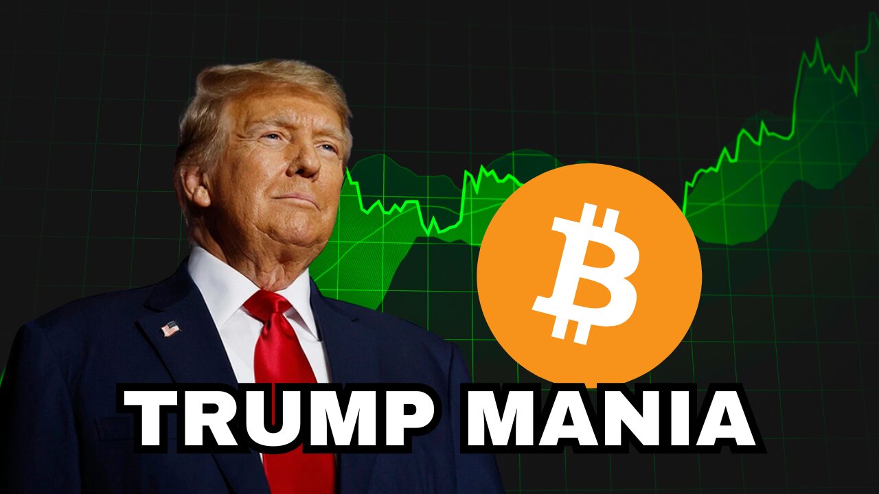 Are we back in a raging BULL MARKET?