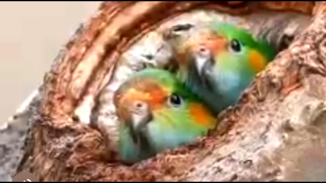 ENJOYING LIFE - DAILY DEVOTIONAL ❤️