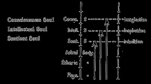 The Effect of Occult Development Upon the Self and the Sheaths of Man