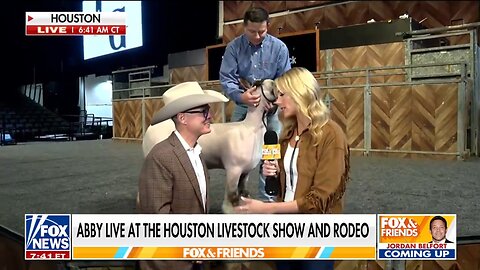 Houston hosts nation’s largest livestock show and rodeo