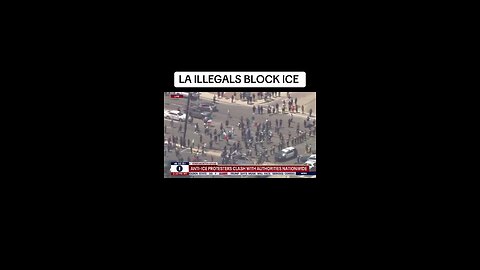 LA Illegals Block ICE