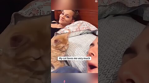funny animals