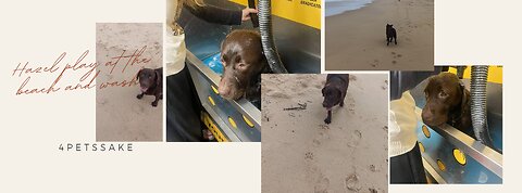 Hazel wash and play