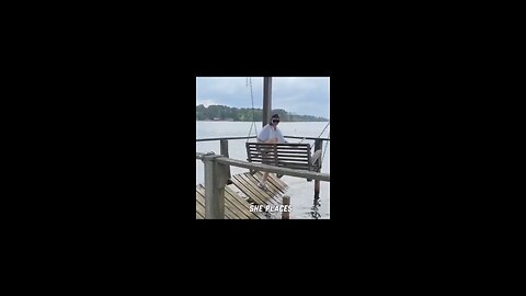 funny videos