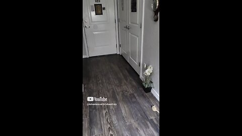 Cali playing ball