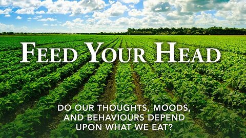 Feed Your Head (2016)
