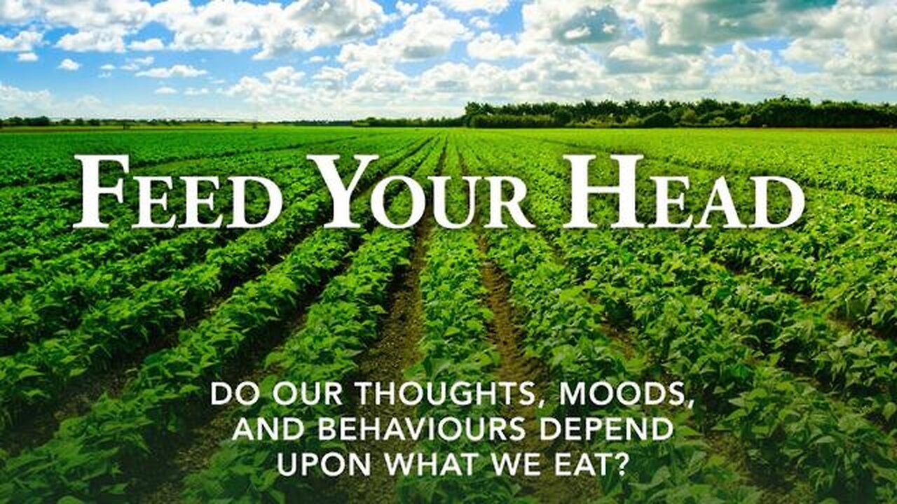 Feed Your Head (2016)