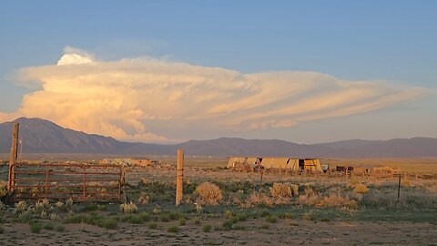 You Dont Have To DIE