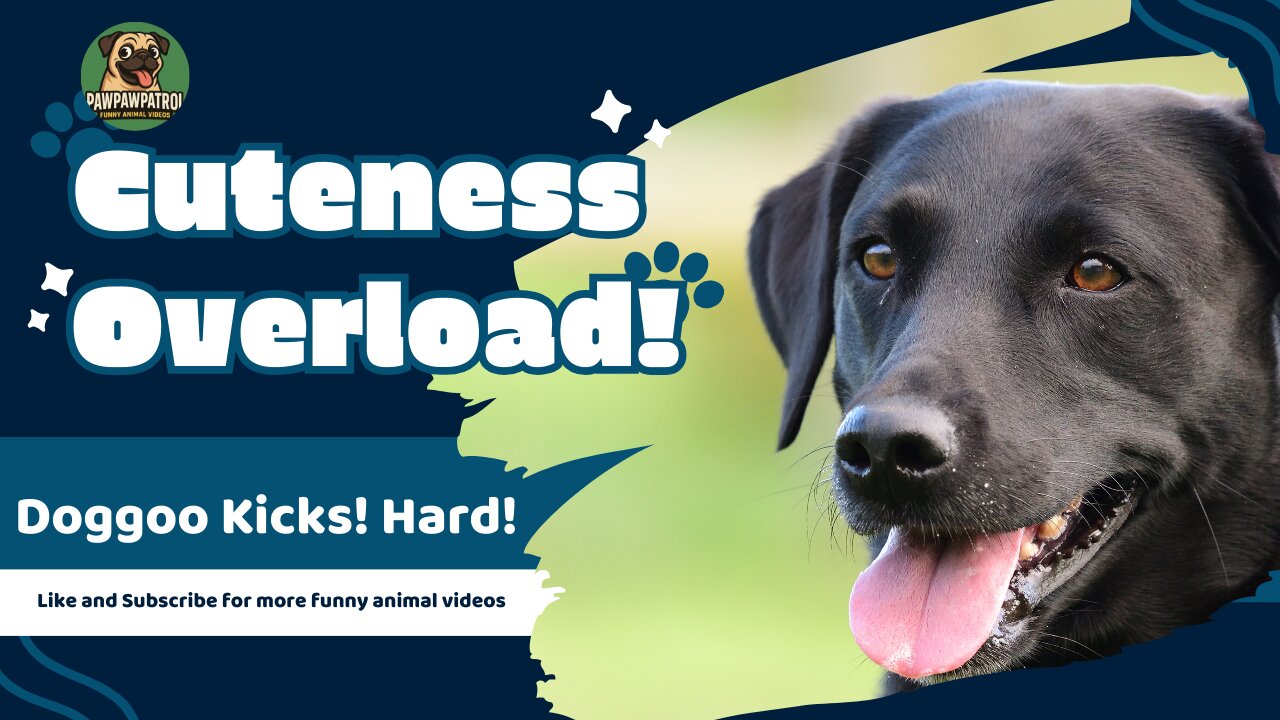 Doggoo hates being tickled