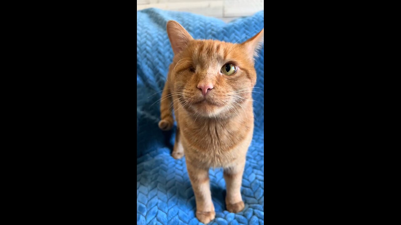I got a new eye without an eye.