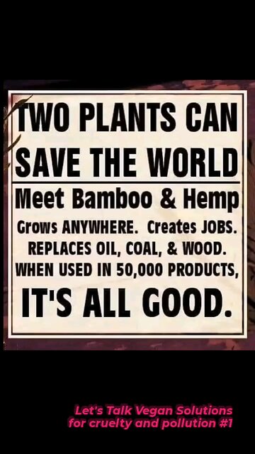 Bamboo 💚 Version #1