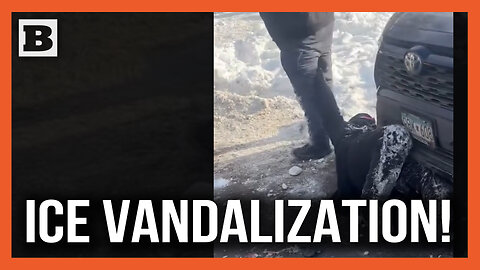 Protesters Pelt ICE Agents with Snowballs as They Drag Away Suspect