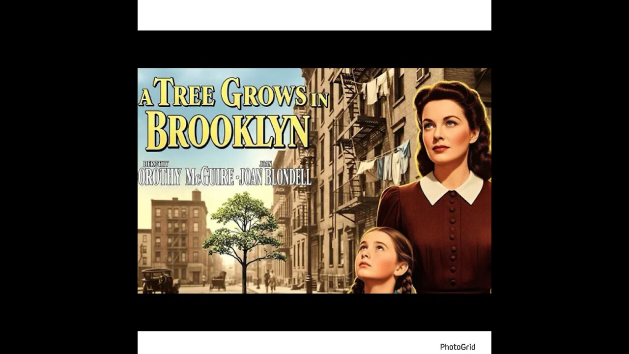 CS #397 A Tree Grows in Brooklyn