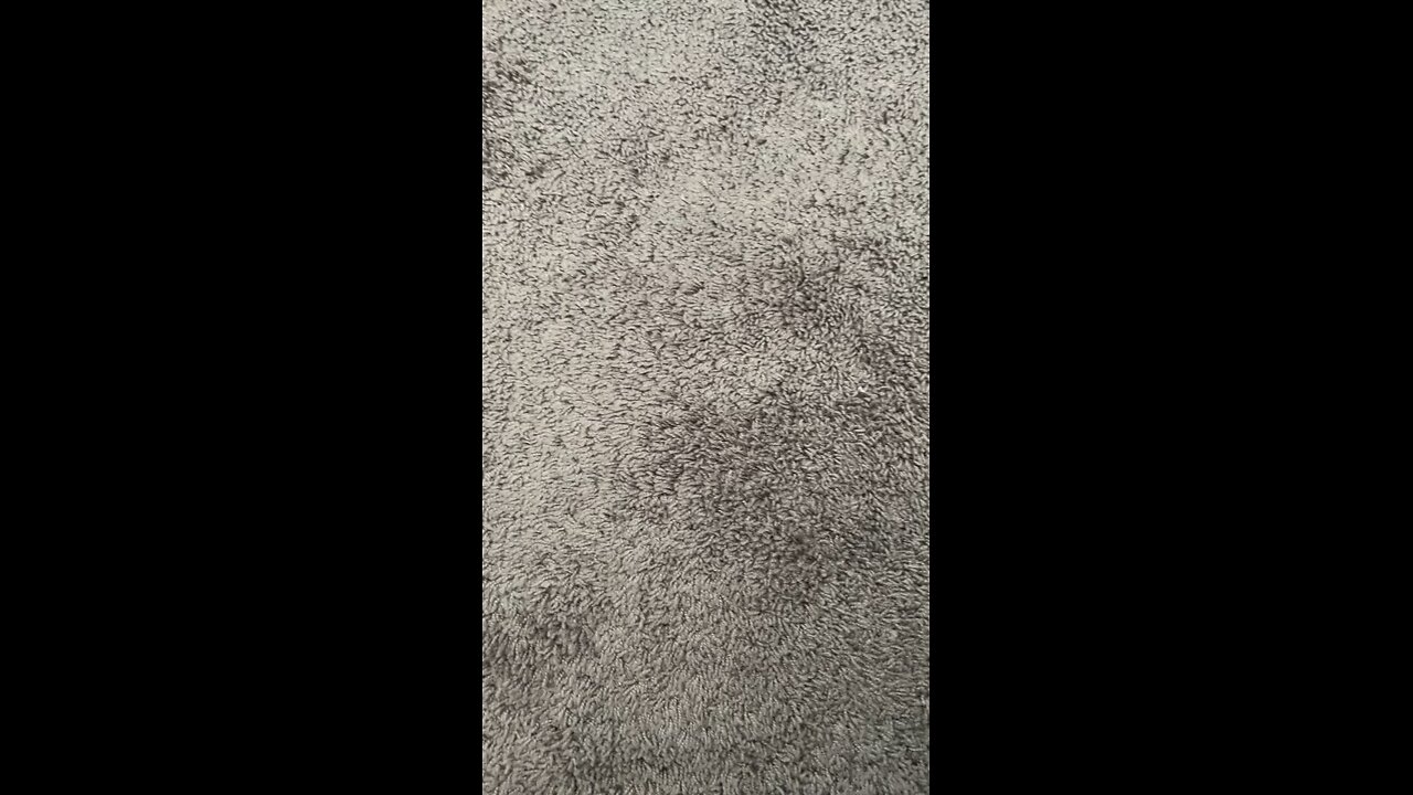 Test public