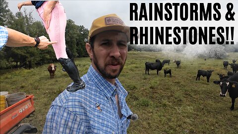 Rainstorms and Rhinestones!!!