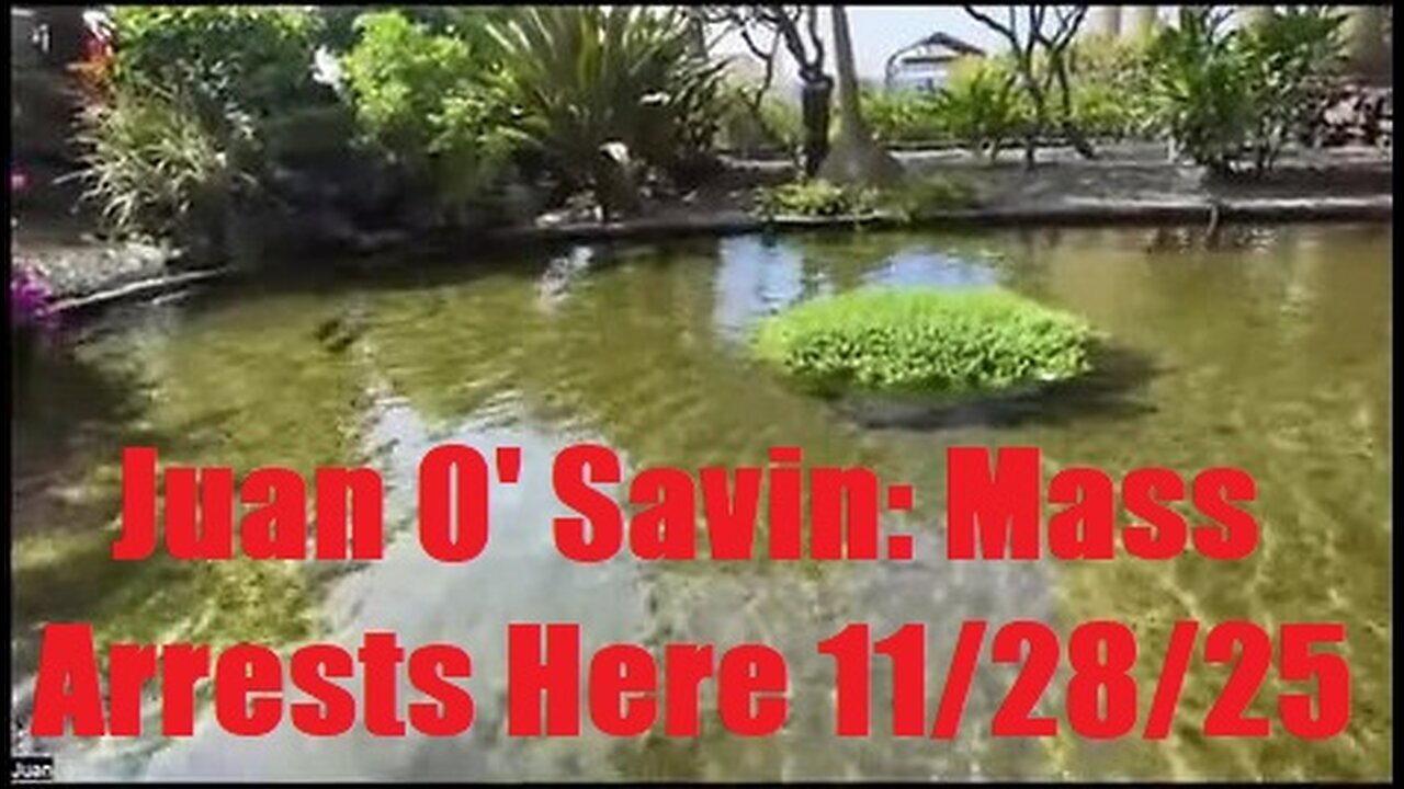 Juan O' Savin: Mass Arrests Here 11/28/25 - Corrupt US Inc. Shut Down, SCOTUS Stripped of Power!