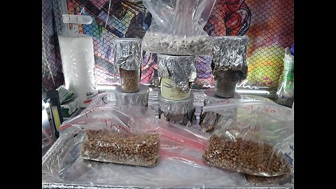 Making Ziploc Tek grain 🌾 bags Mycology Mondays #129