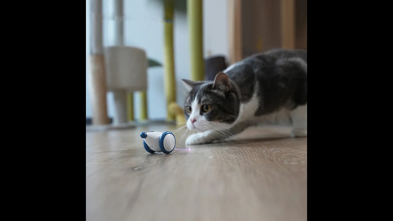 Electric Smart Cat Toy