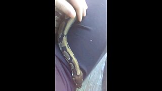 chilling with my snake Crowley